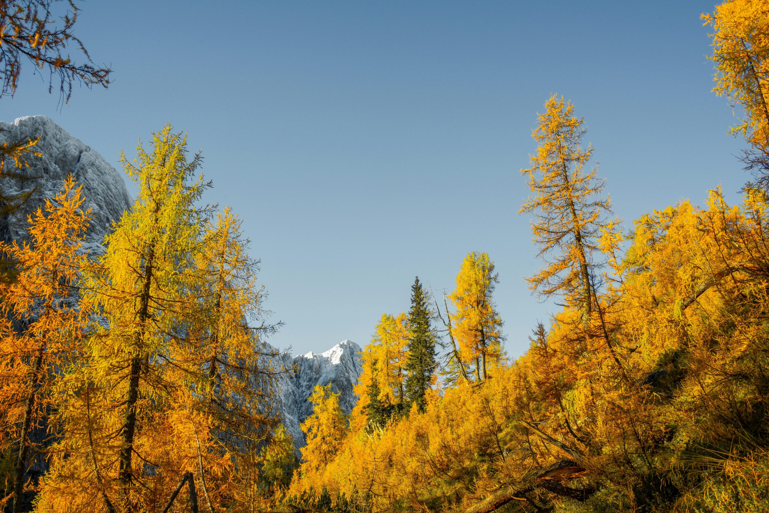 Ways to Make Your House Cozy for Fall Showings
